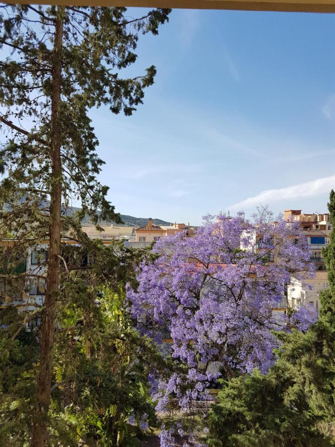 Estudiosol40 Torremolinos Extérieur photo