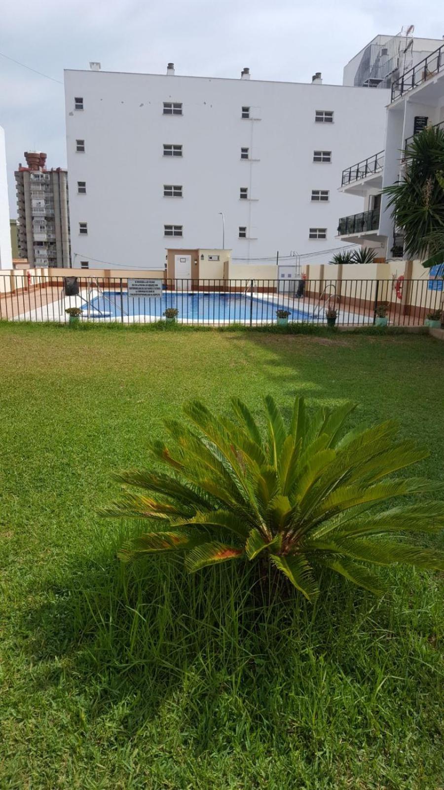 Estudiosol40 Torremolinos Extérieur photo